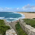 Seashell Consolacao