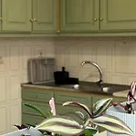 Seashell Consolacao 阿通奎亚·达·巴利亚