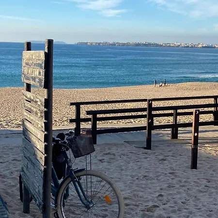 Seashell Consolacao * אנטוגויה דה באלייה