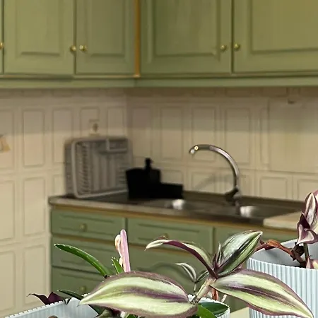 Seashell Consolacao אנטוגויה דה באלייה