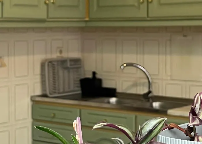 Seashell Consolação Atouguia Da Baleia