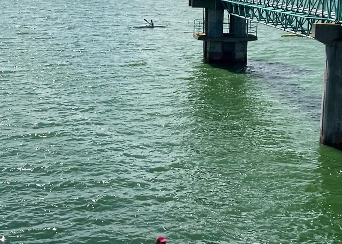 Apartamento Seashell Consolação Atouguia Da Baleia